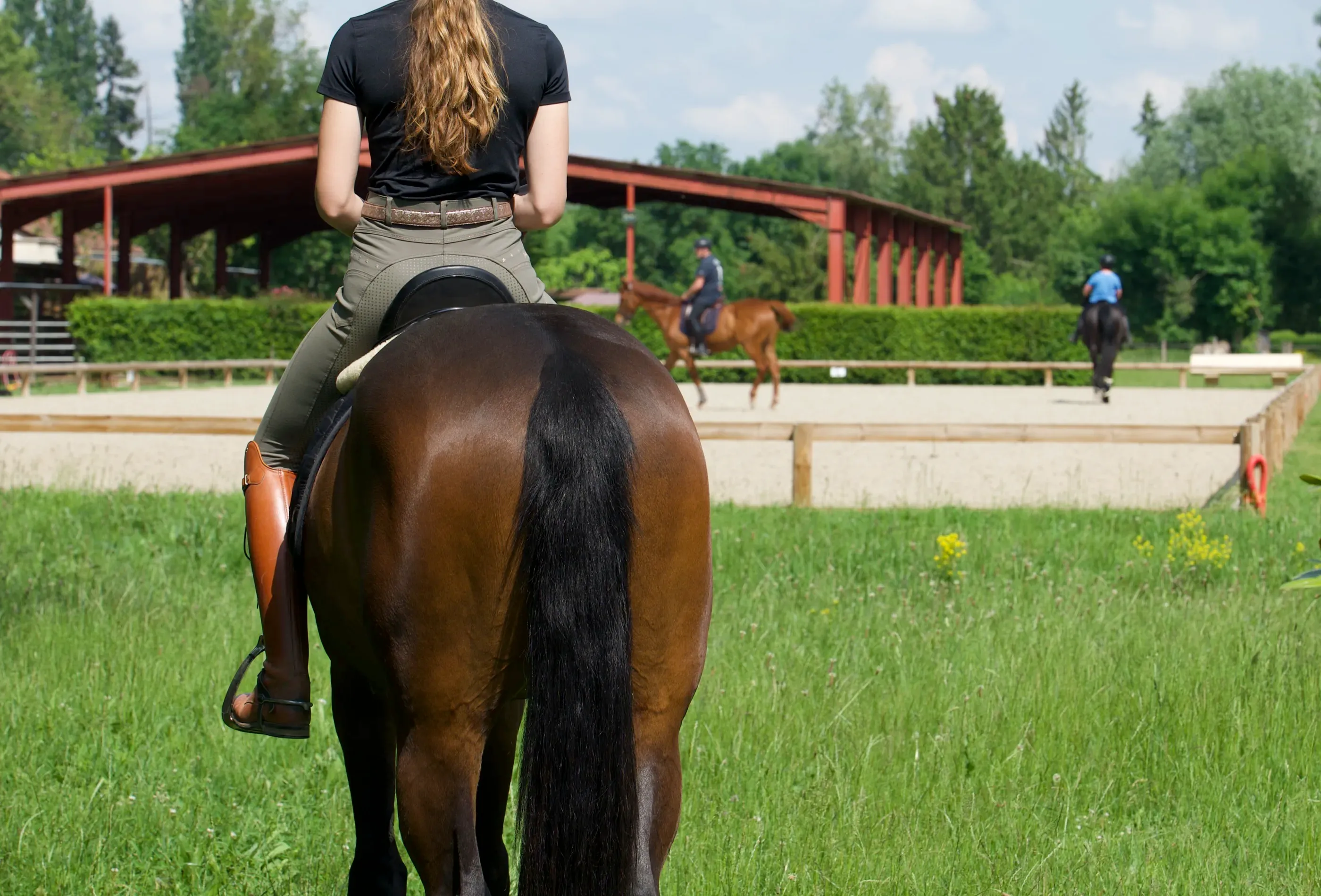 Vue de la grande carrière et du manège de l'Écurie de l'Arquebuse sur 9.5 ha