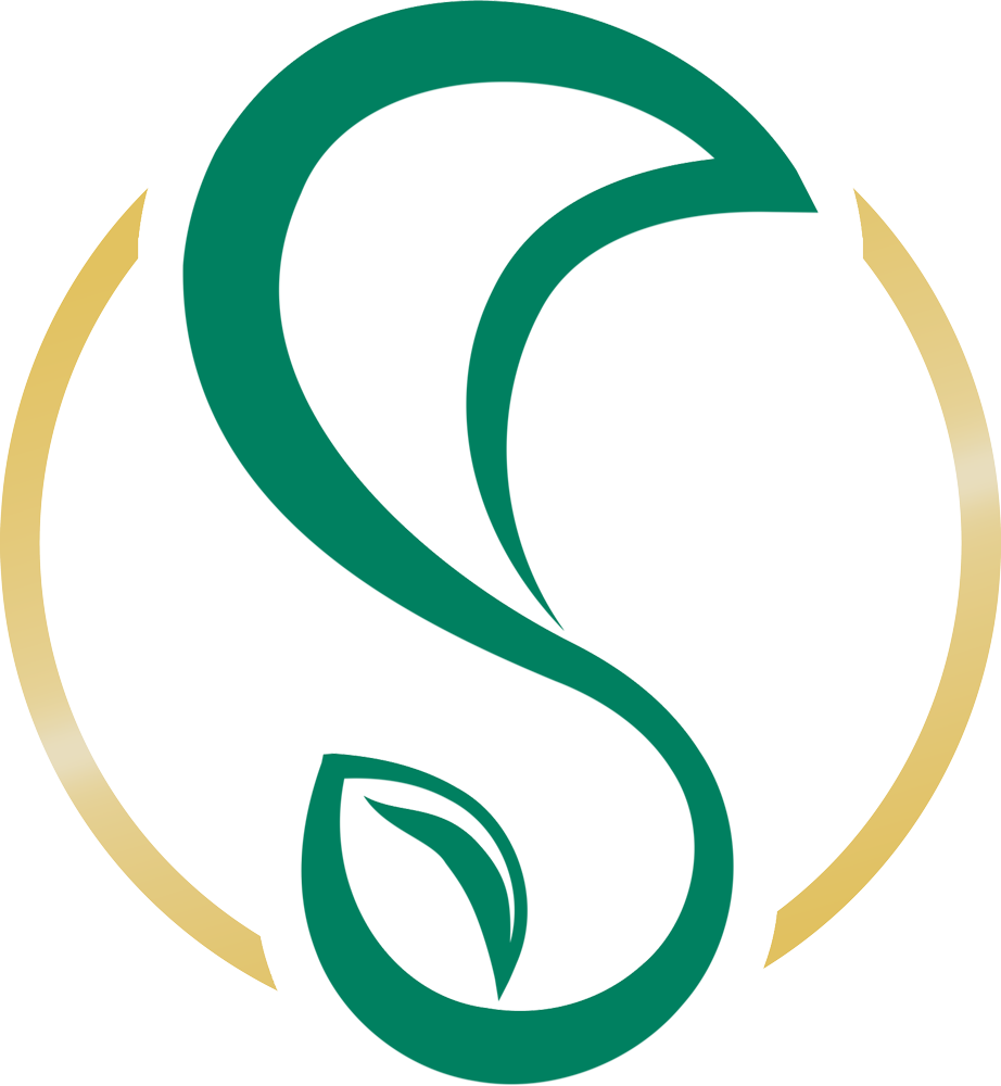 logo Atelier Sophie Fechner Architecte